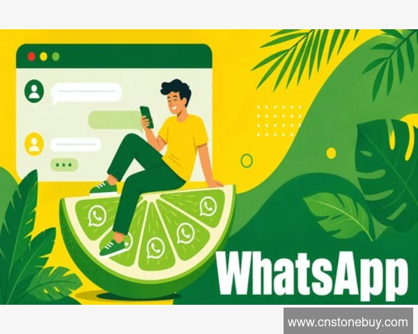 手机换新后WhatsApp验证怎么办?